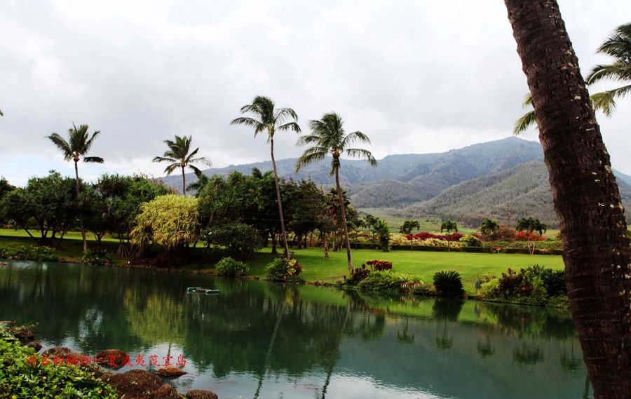 【茂宜岛热带植物园-美国夏威夷茂宜岛摄影系