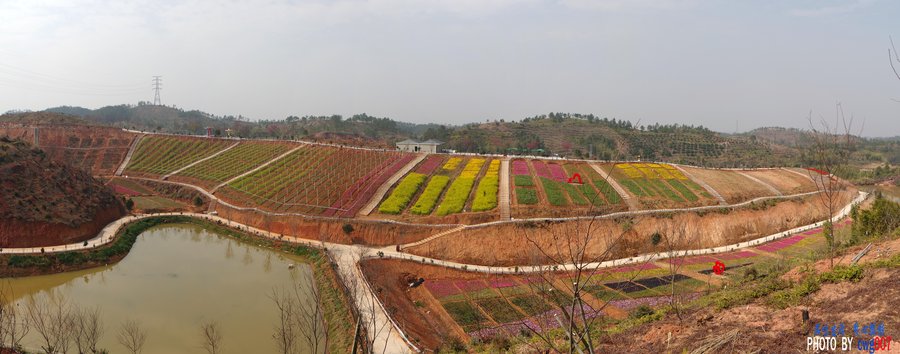 南雄两岸花博生态园