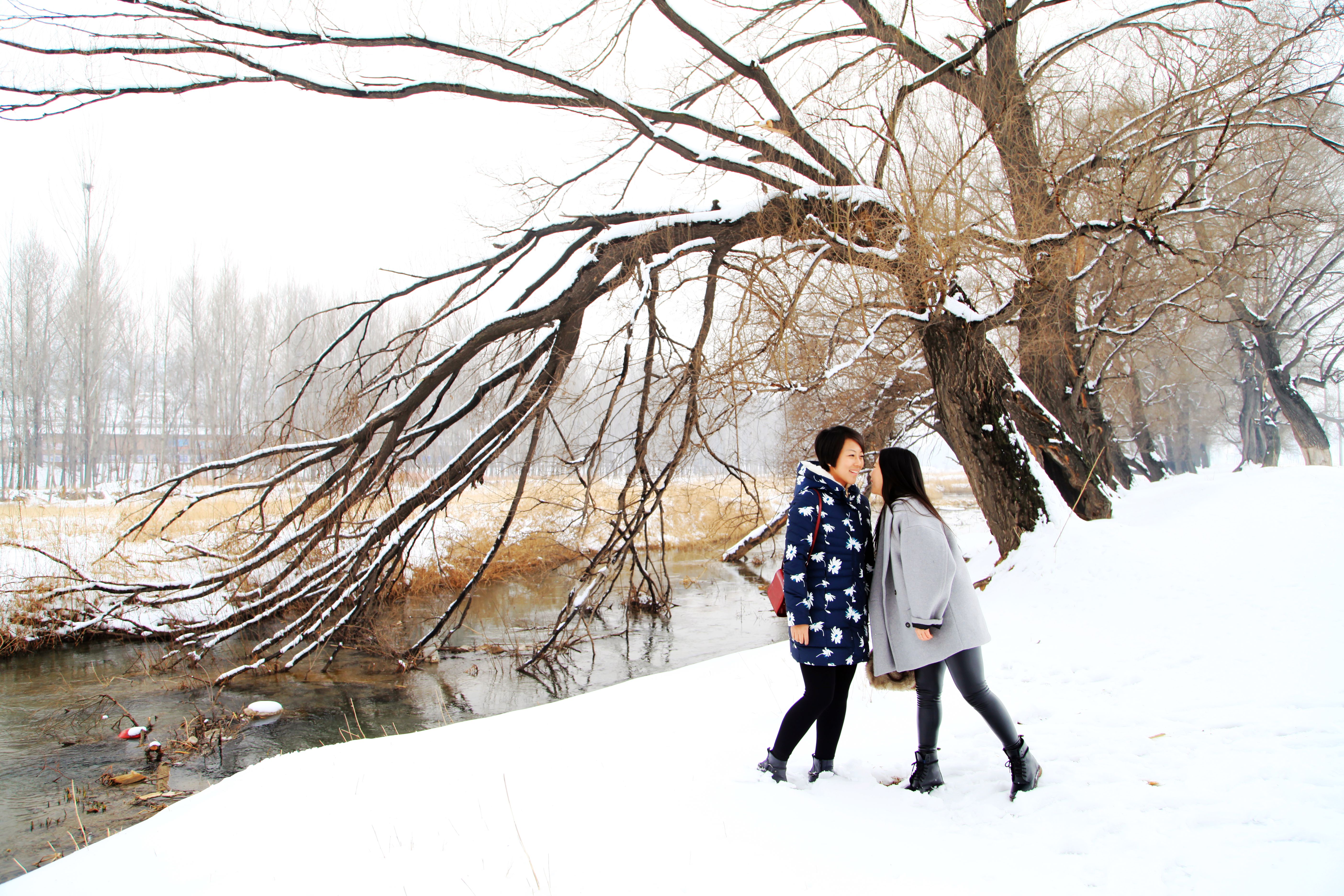 瑞雪兆丰年