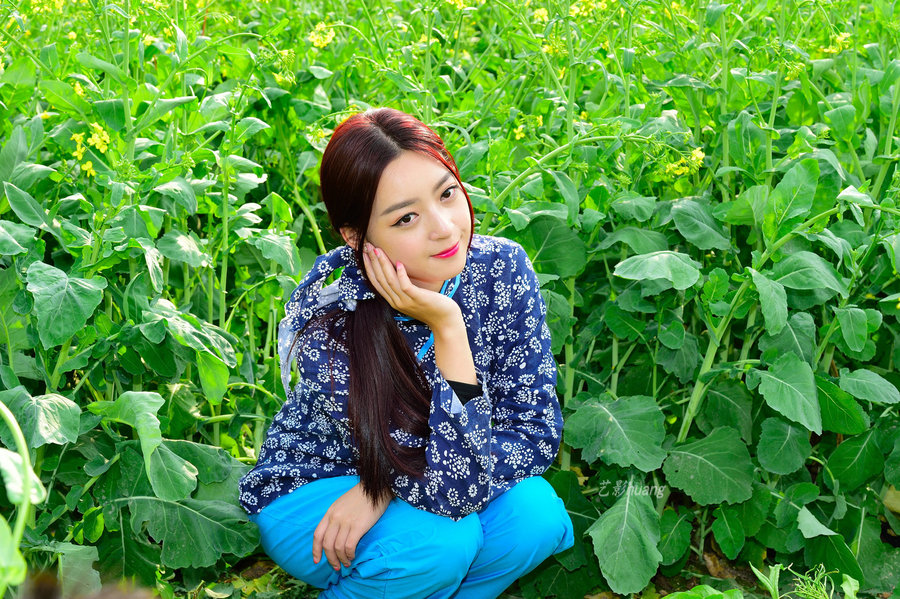 油菜花里的村姑 (/)