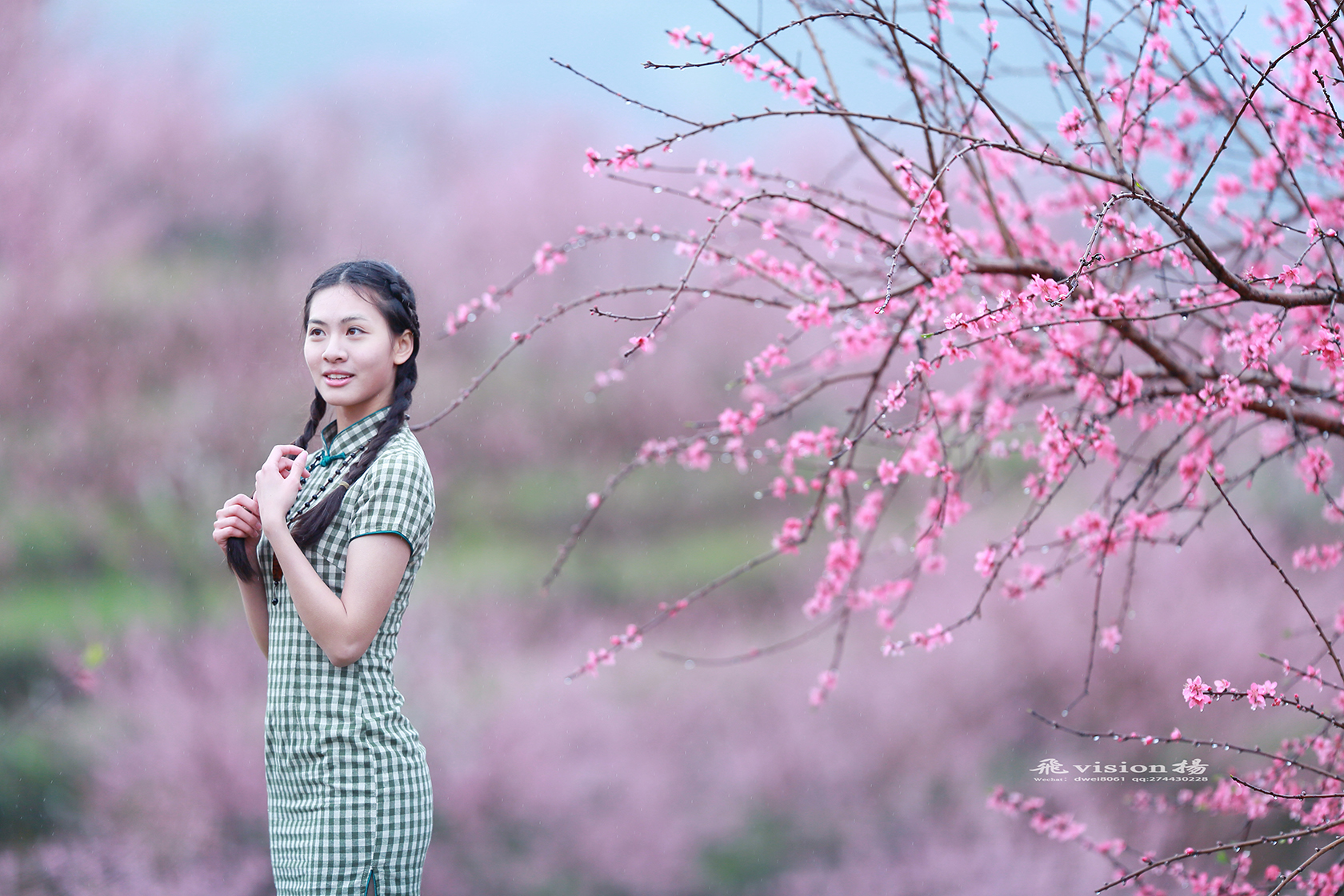 人面桃花相映红