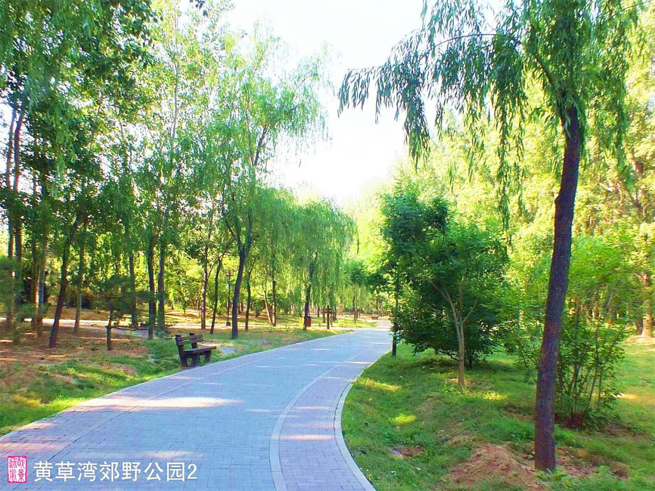 【北京的北郊13摄影图片】黄草湾郊野公园风光旅游_醉