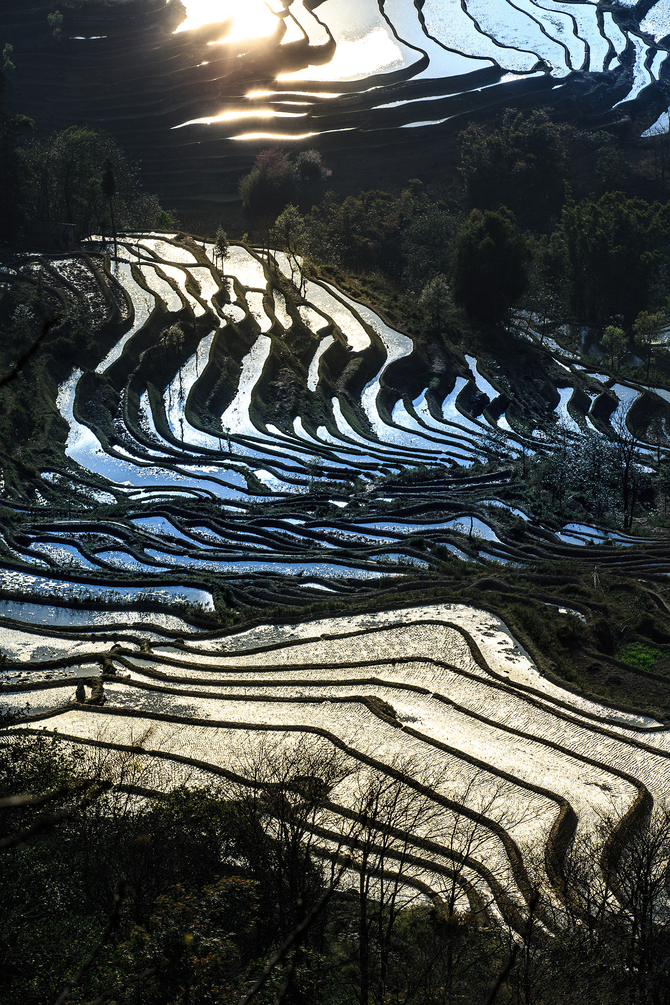 云上梯田