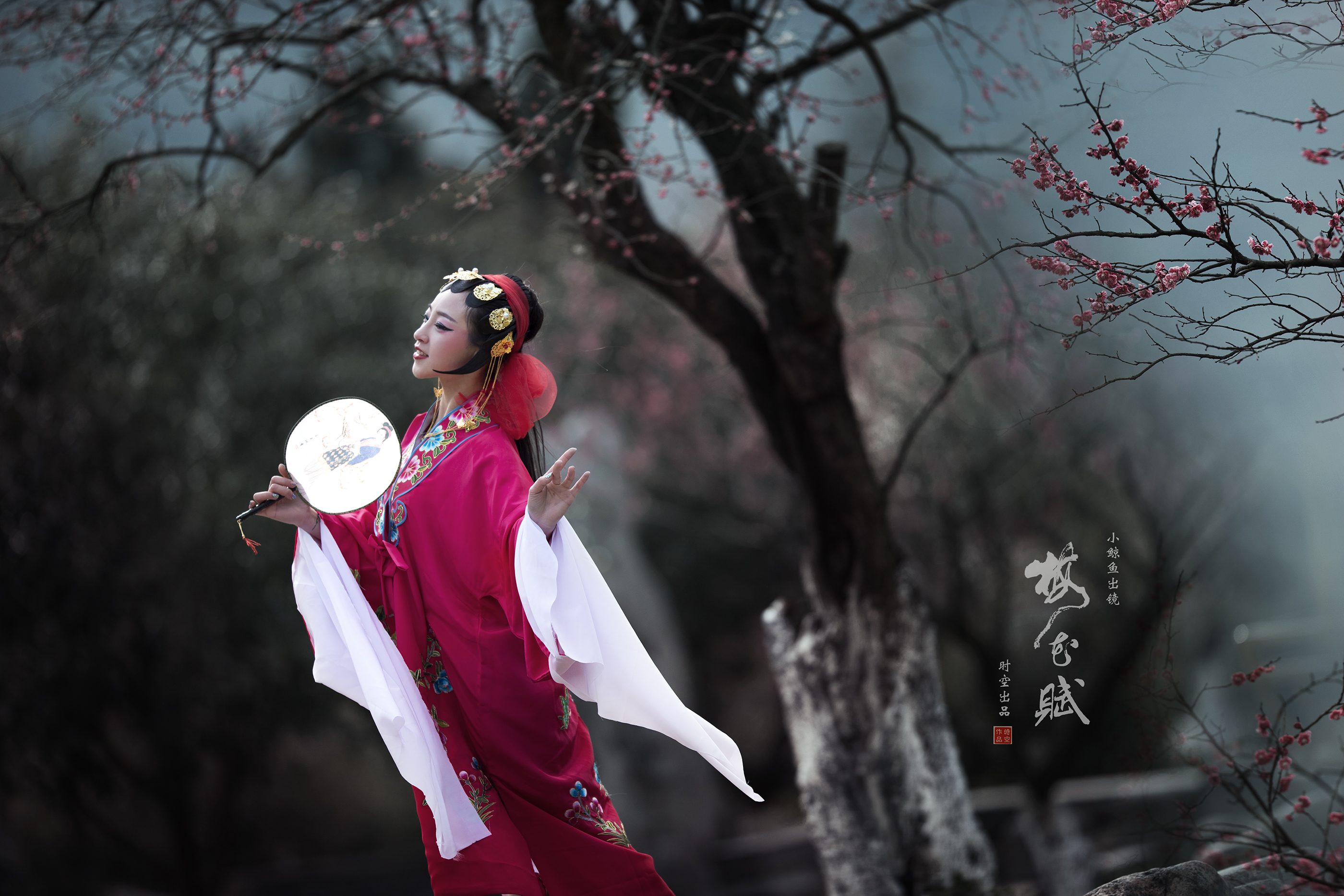 《梅花赋》时空作品
