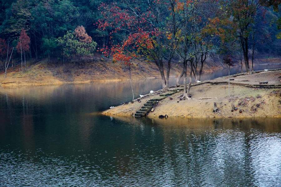 【杭州千岛湖芒花漾风光摄影图片】风光旅游摄