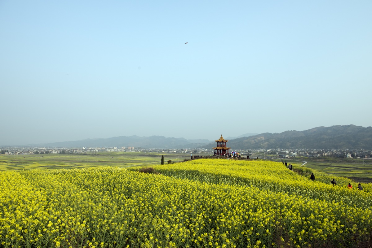 【龙凤花海摄影图片】重庆秀山清溪场镇风光摄影_摄行