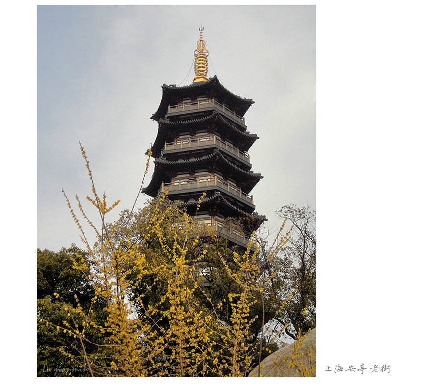 【上海安亭老街摄影图片】上海风光摄影_太平