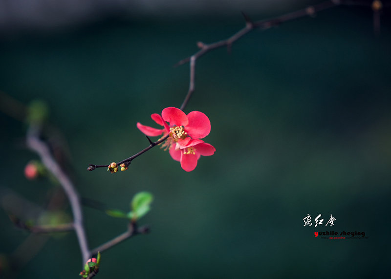 本是青灯不归客,却因浊酒恋红尘.星空不问赶路人,岁月