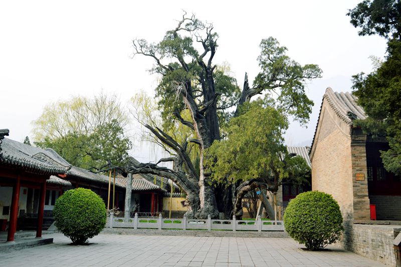 嵩阳书院