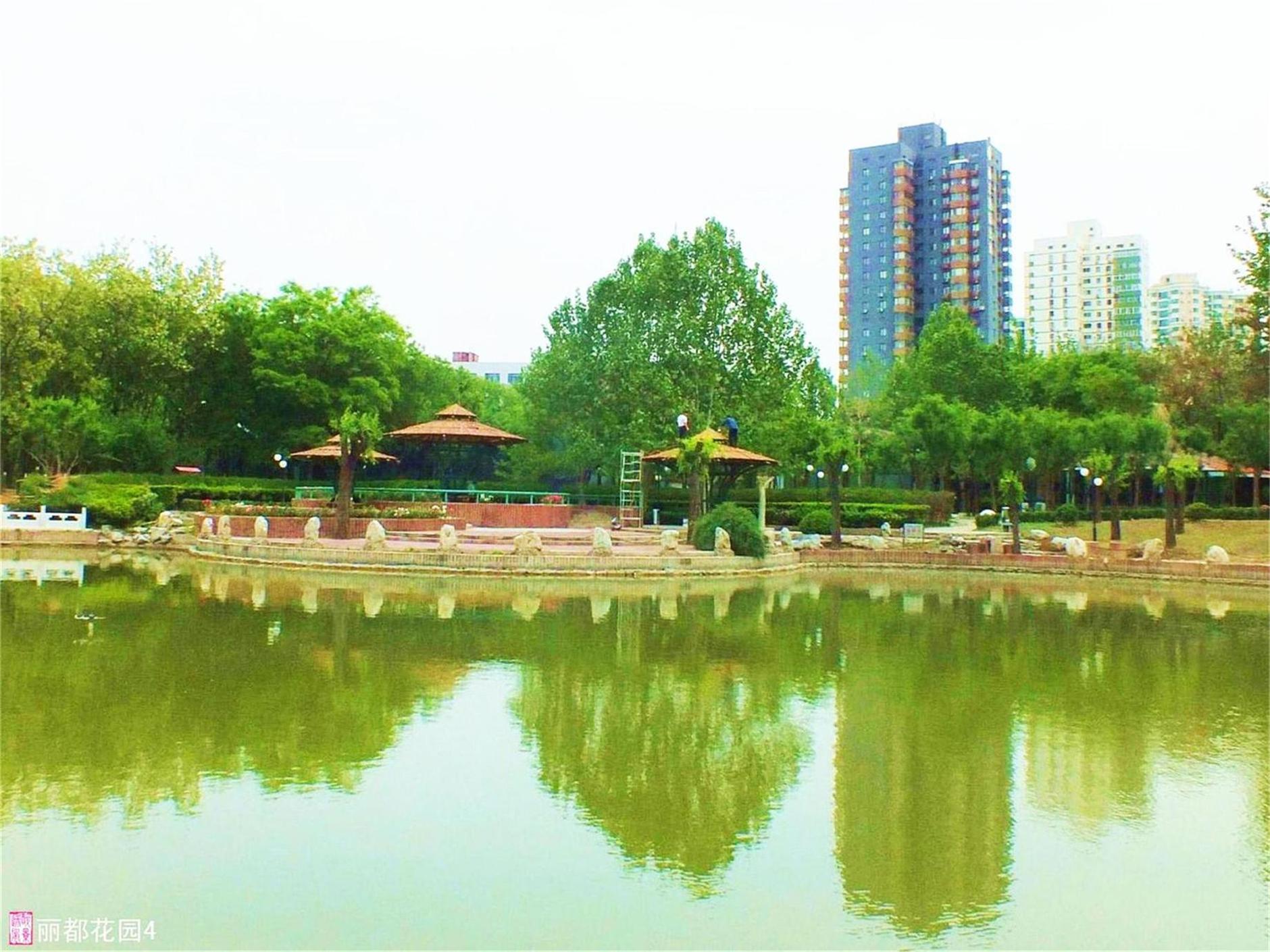【北京的东郊2摄影图片】京密路东望京公园和丽都花园