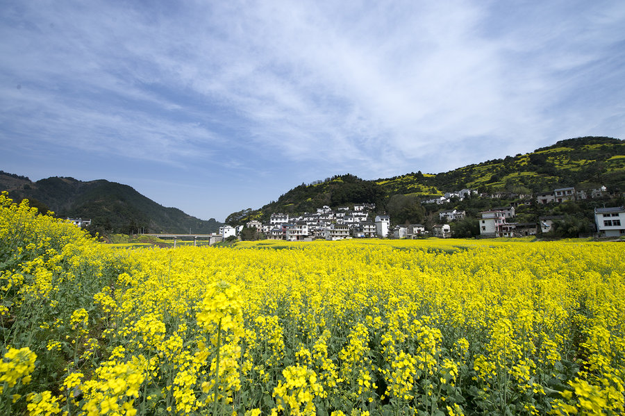 【皖南花季摄影图片】歙县纪实摄影