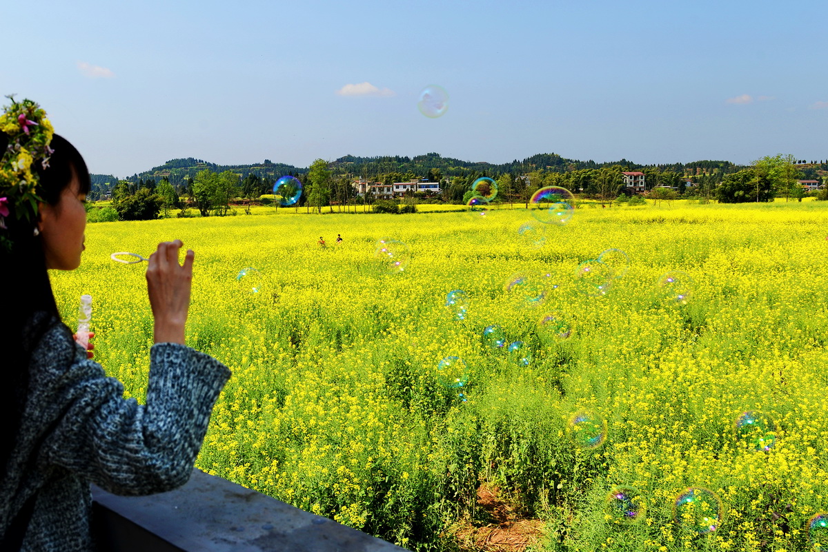 潼南油菜花