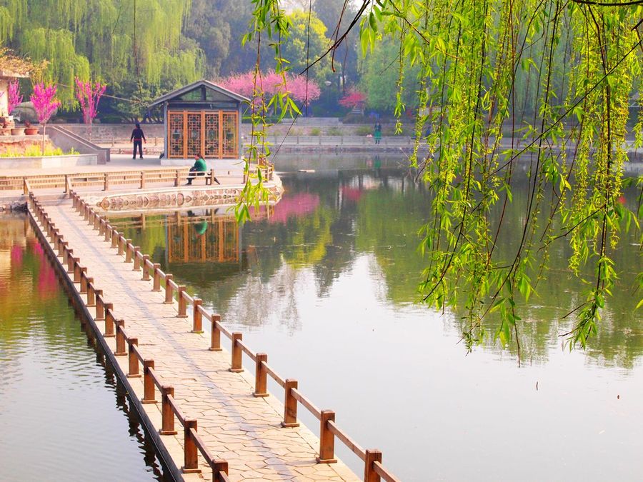美丽的郑州紫金山公园初春园林景观