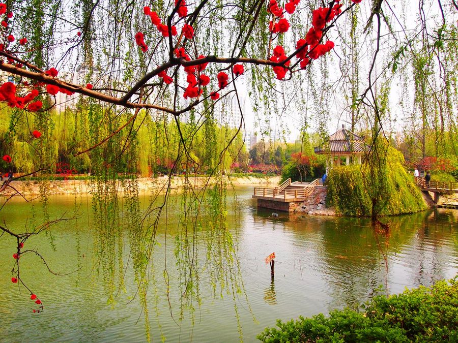 【美丽的郑州紫金山公园初春园林景观摄影图片