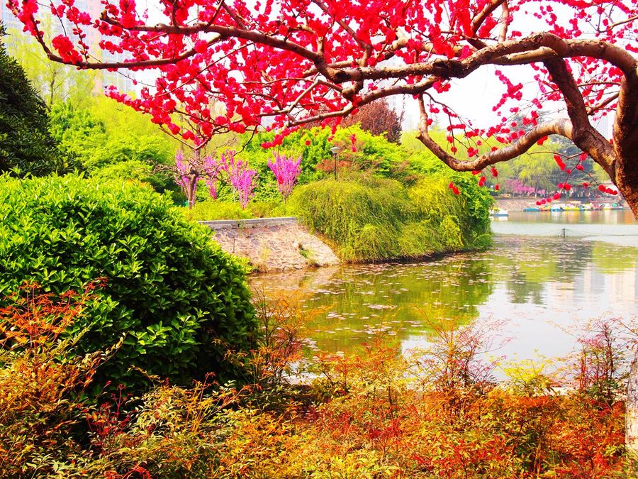 【美丽的郑州紫金山公园初春园林景观摄影图片