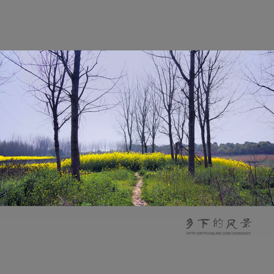 乡下的风景