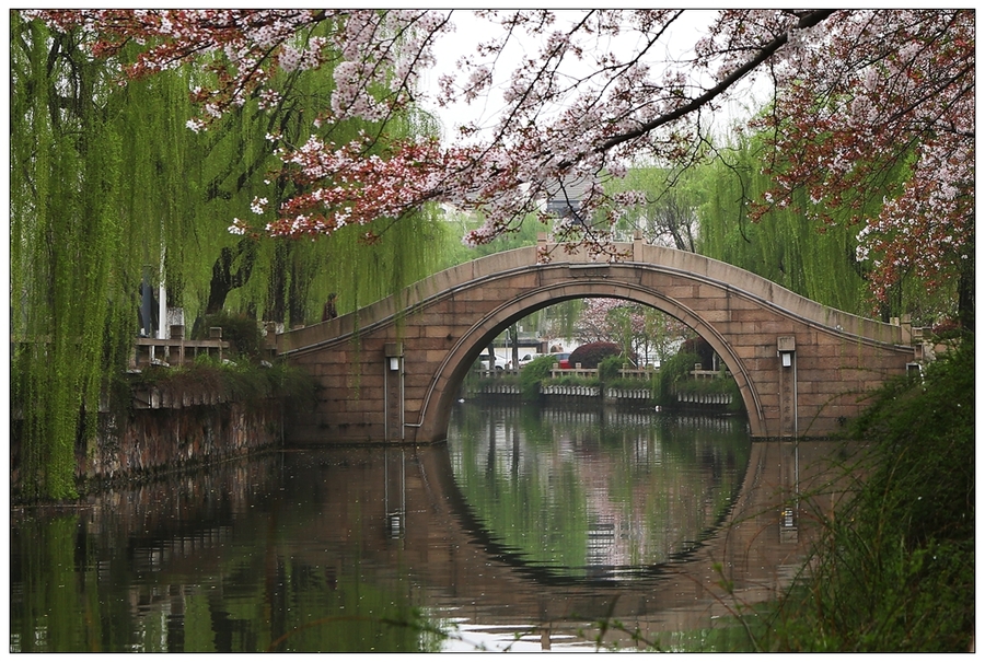 【虞城樱花摄影图片】风光旅游摄影