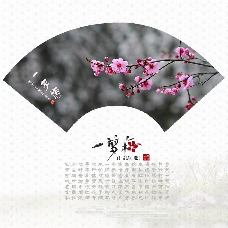 一剪梅