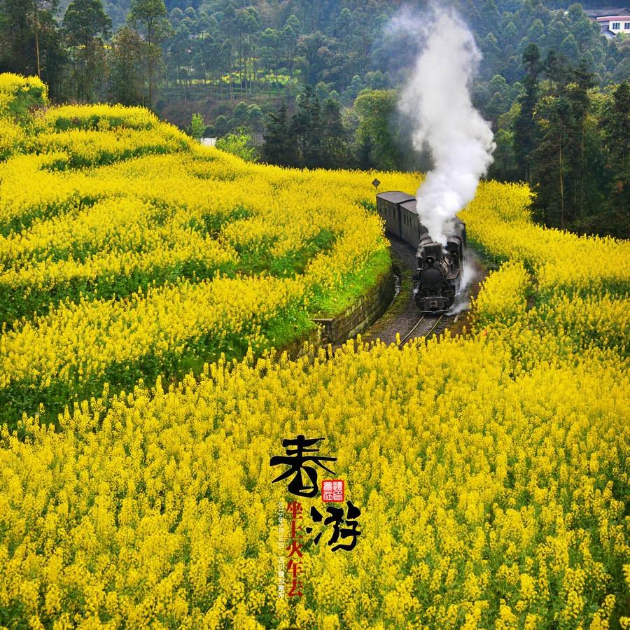 【坐上火车去春游摄影图片】四川犍为嘉阳煤矿