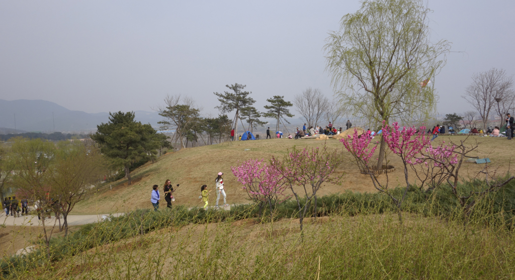 春游北京西山森林公园