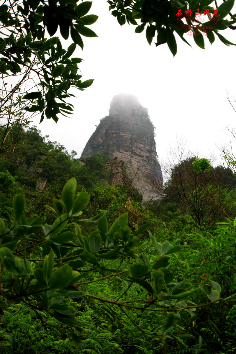 平南县石桥山风光