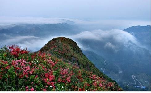 温州瑞安圣井山