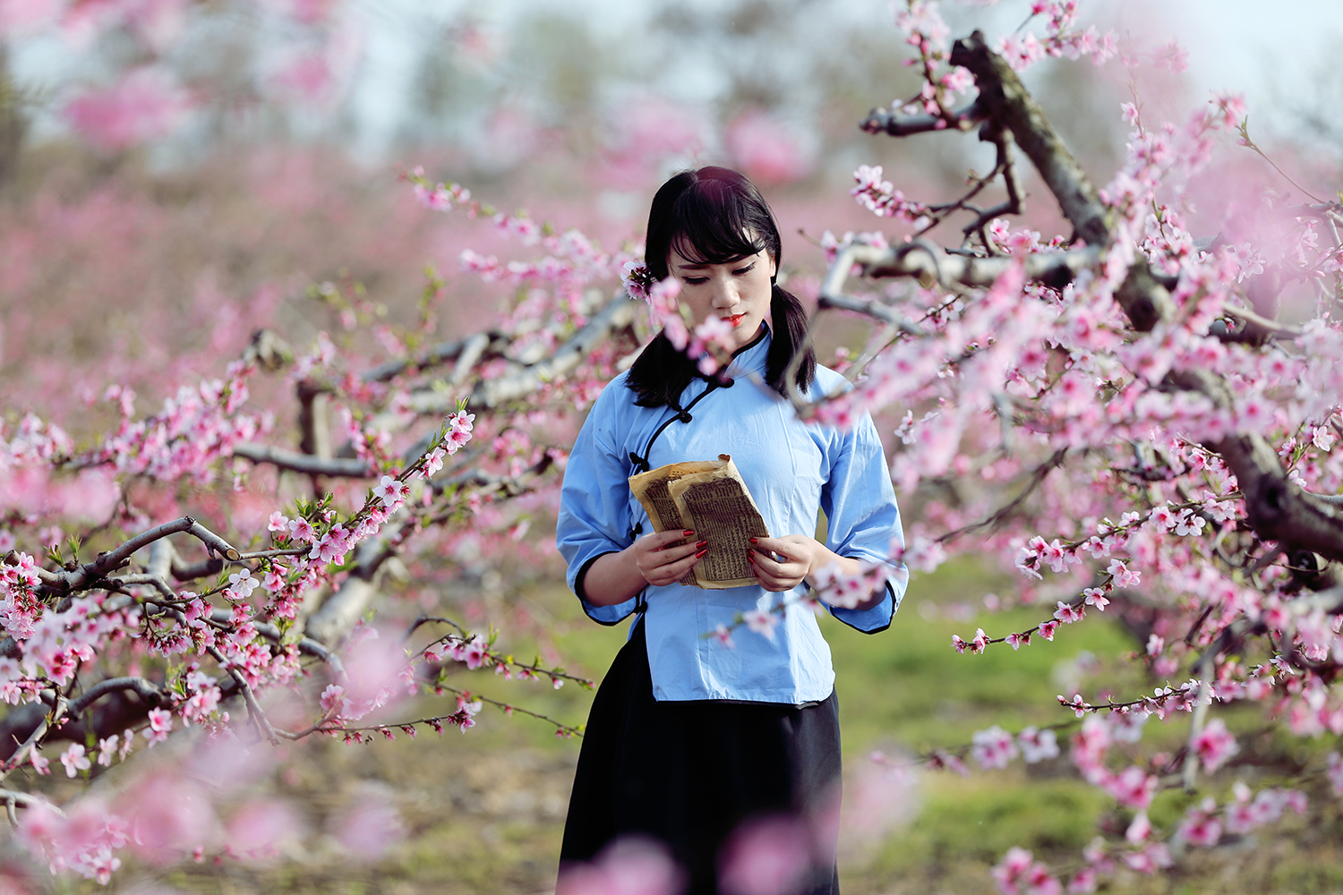 【桃花摄影图片】人像摄影_寻印象_太平洋电脑网摄影