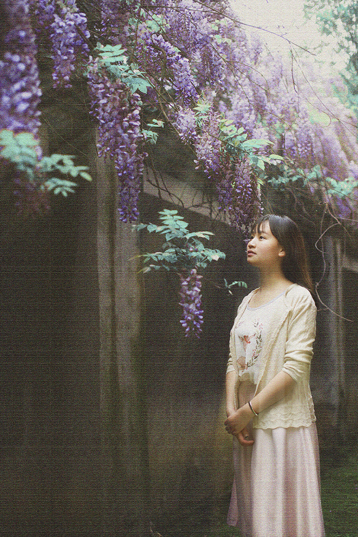 【紫藤花摄影图片】吉首大学师范学院人像摄影_辽阔