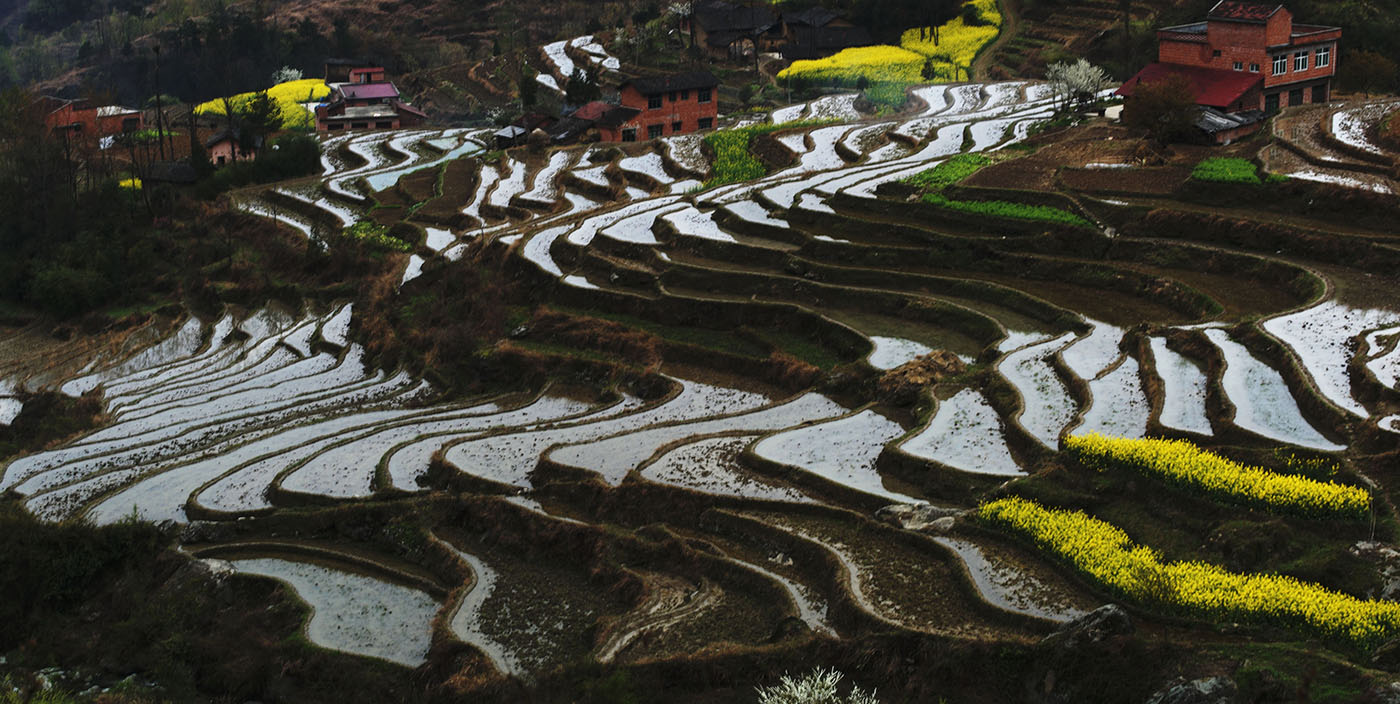 凤堰古梯田