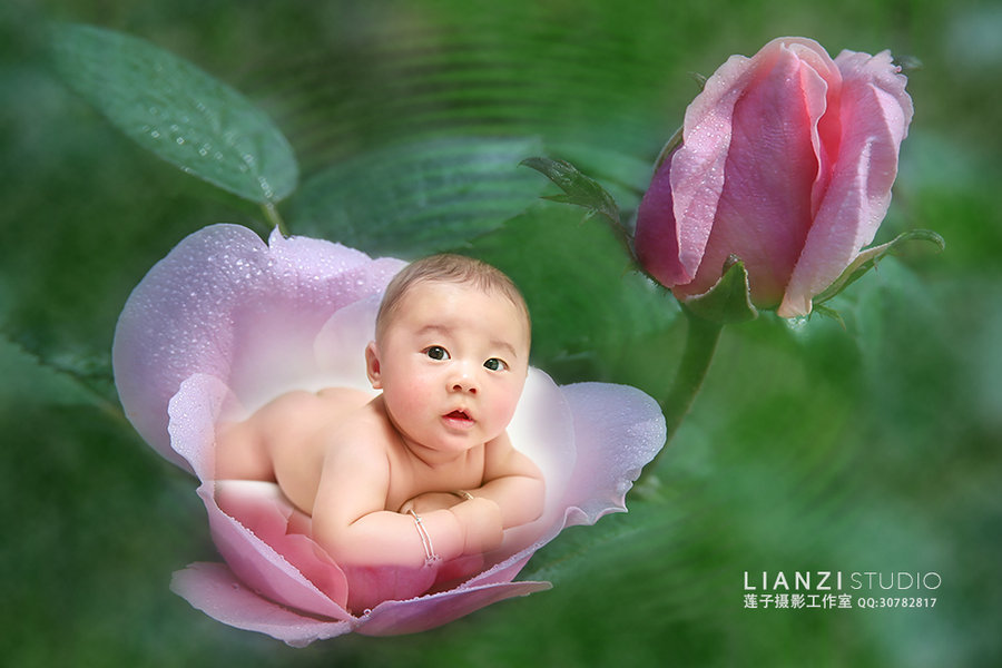 【天使宝宝的花花世界-创意儿童摄影摄影图片