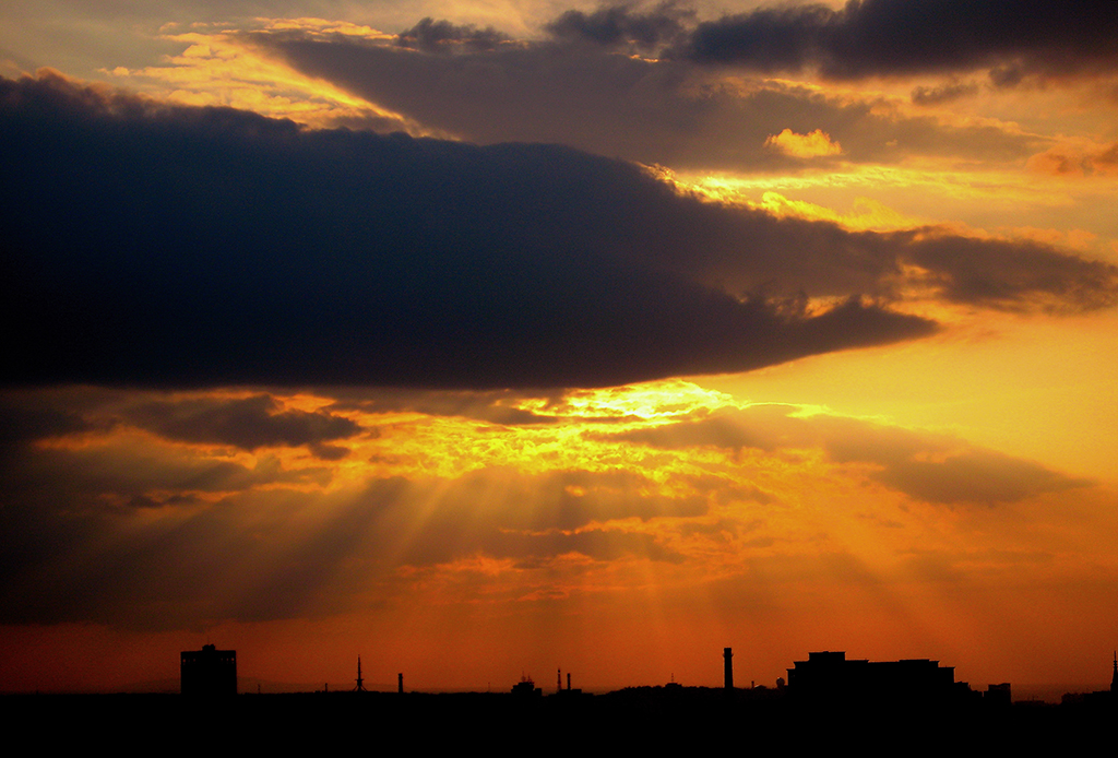 夕阳醉了