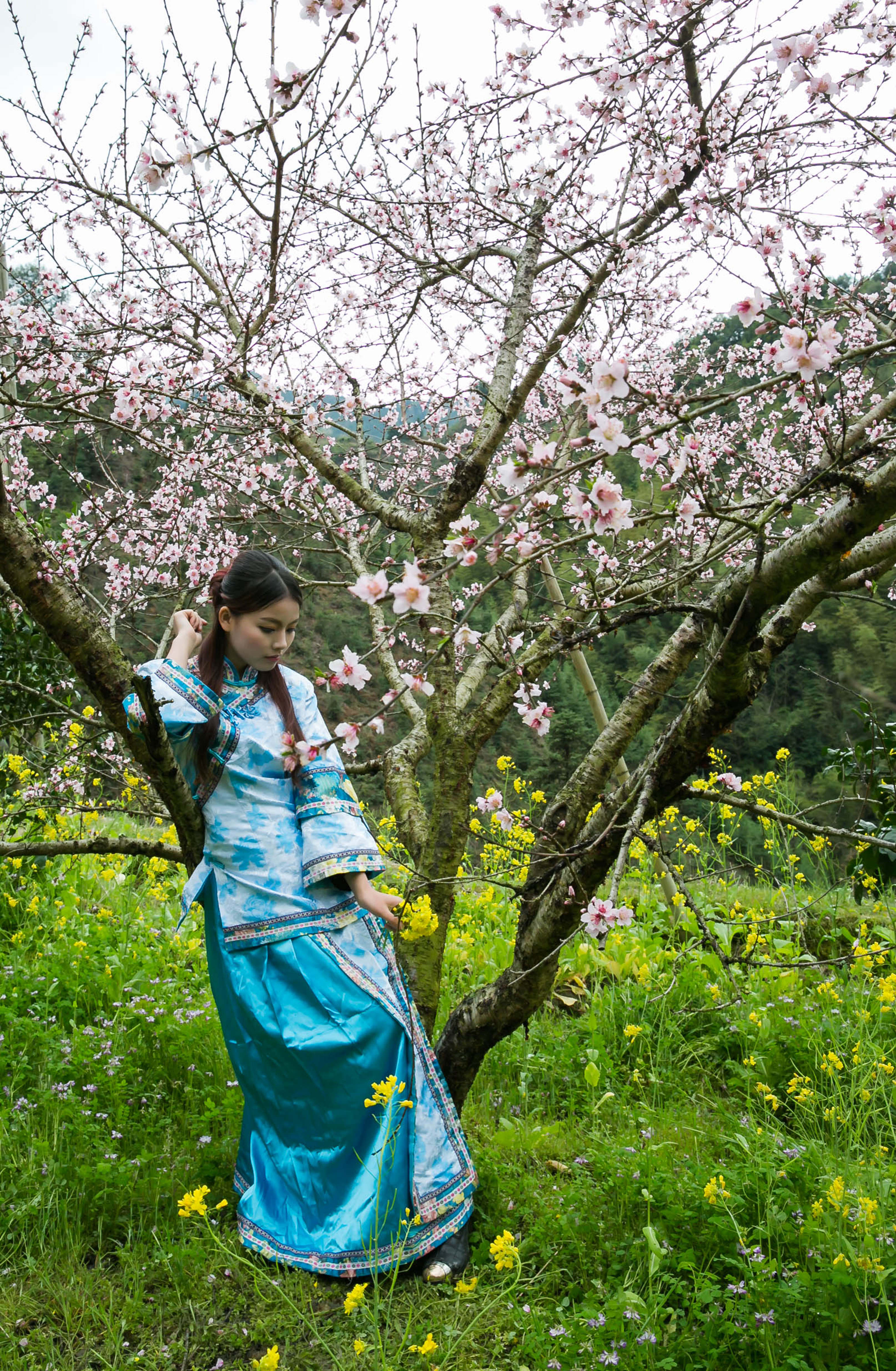 九峰山赏花之旅