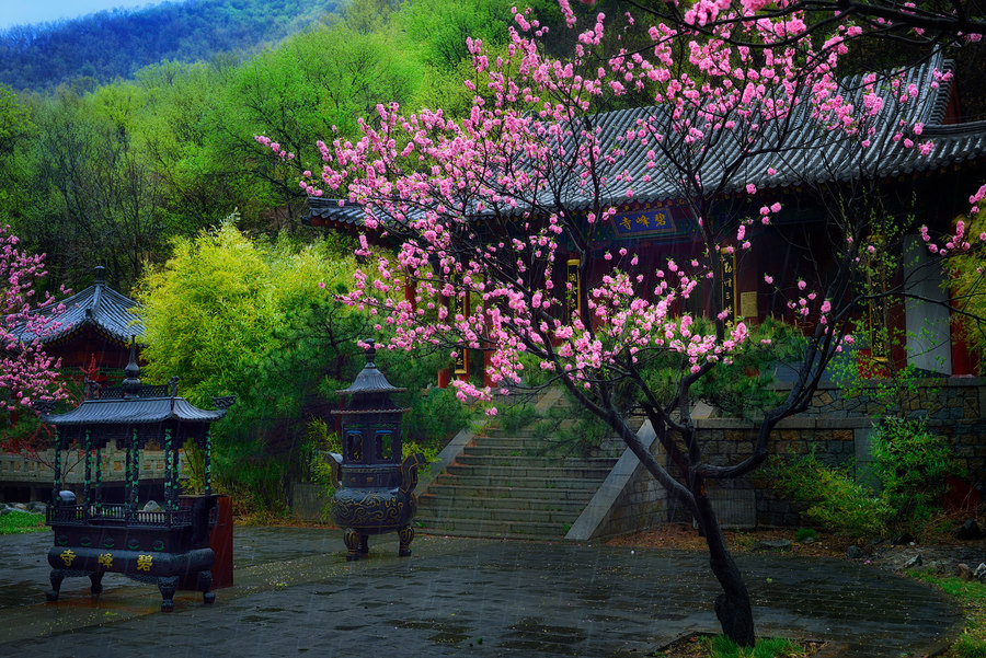 桃花源 桃花雨