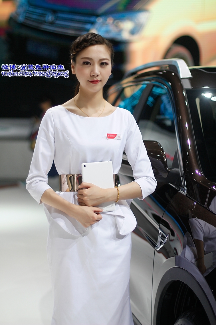 【2015年参加第16届上海国际汽车工业展览会