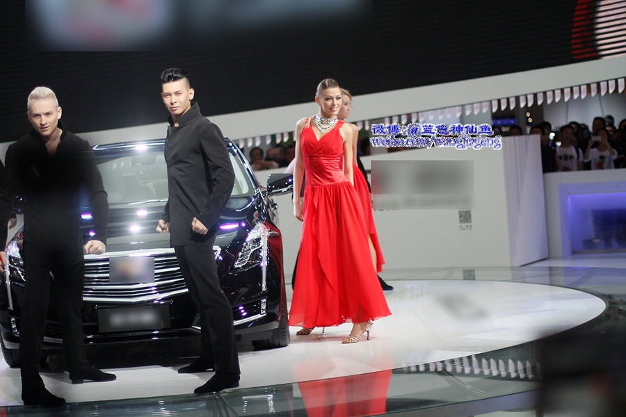 【2015年参加第16届上海国际汽车工业展览会