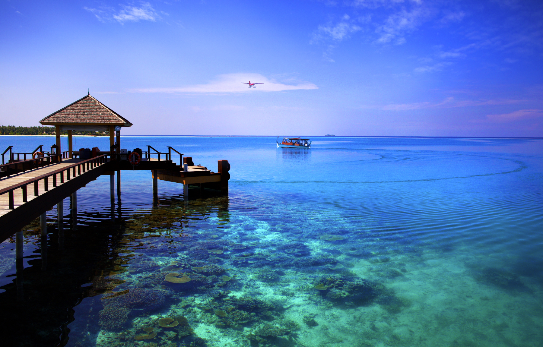 2023海龟岛游玩攻略,巴厘岛海龟岛做快艇感觉还是...【去哪儿攻略】
