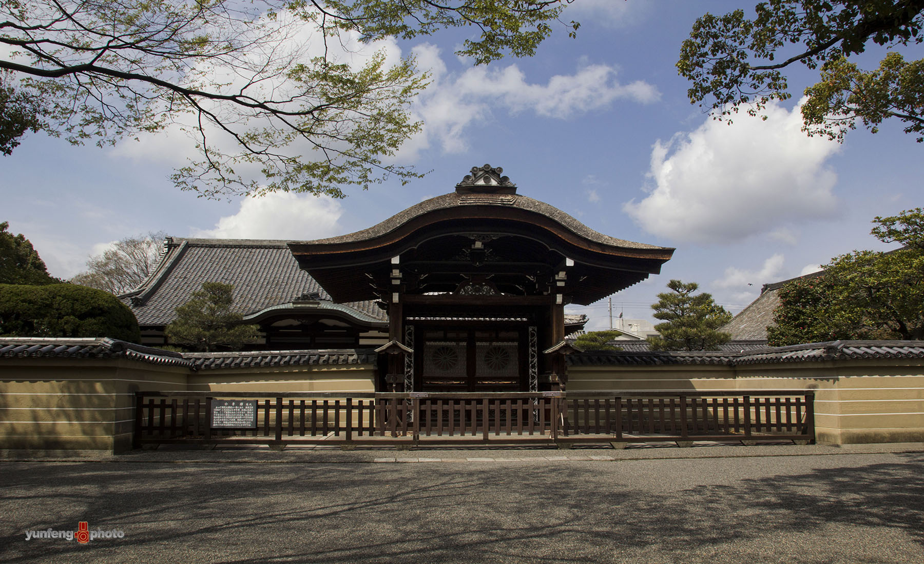 在那樱花盛开的地方东寺