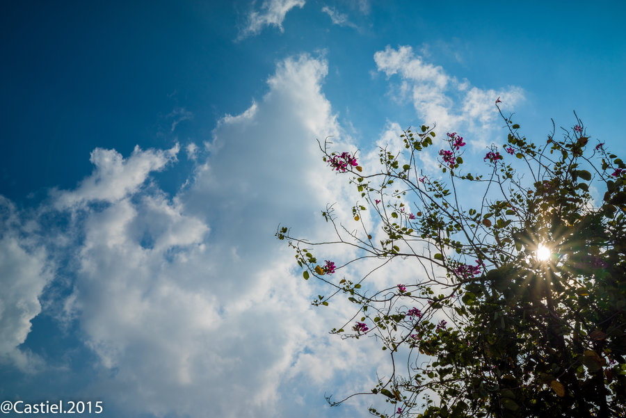 夏日的天空