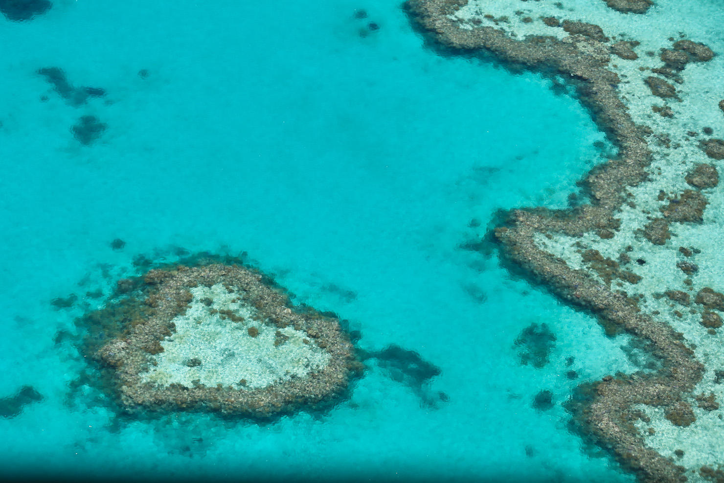 澳大利亚昆士兰州北部的凯恩斯是前往大堡礁的门户之一