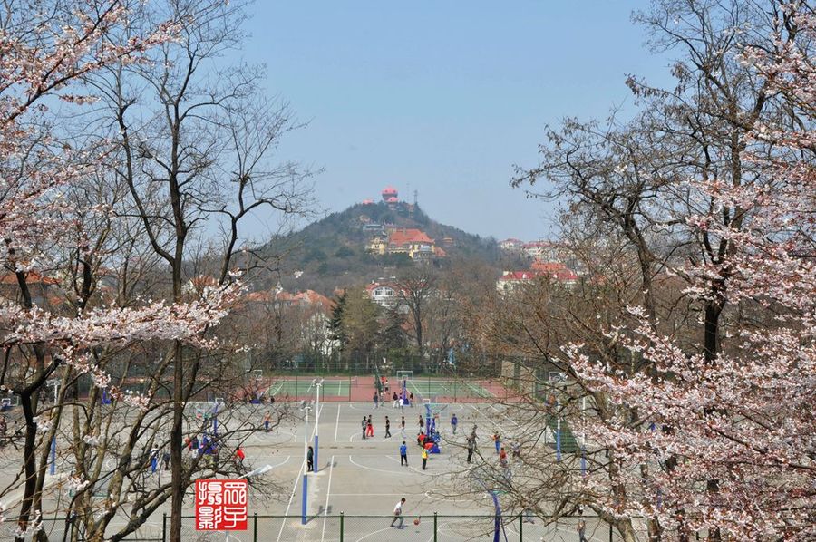 春满海大-中国海洋大学鱼山校区