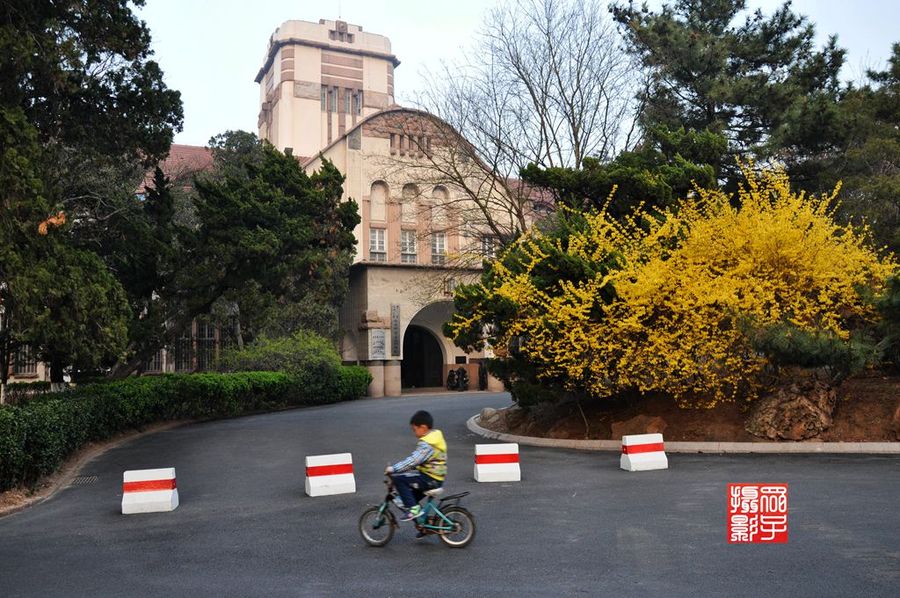 春满海大-中国海洋大学鱼山校区