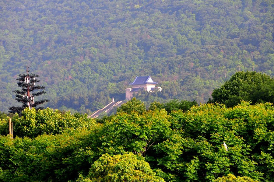 钟山晨曦