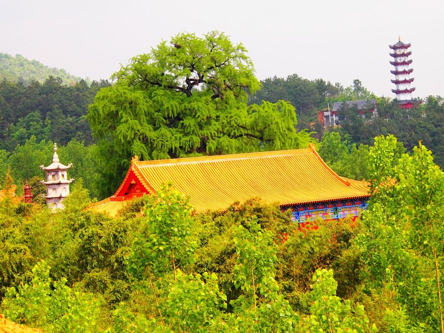 桐柏山清泉寺的早晨