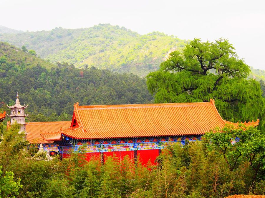 桐柏山清泉寺的早晨(共 25 p)