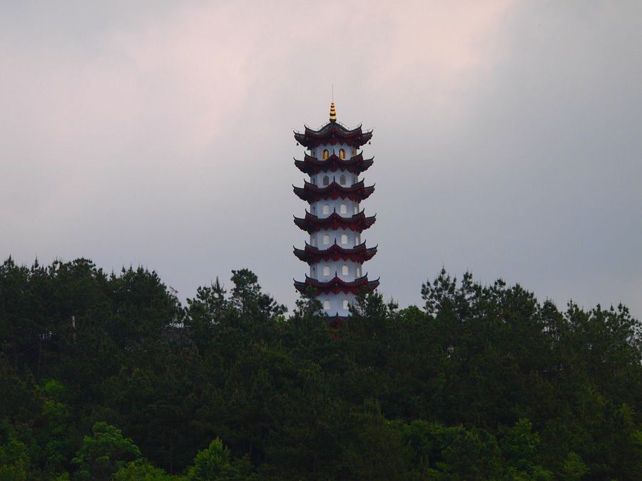 桐柏山清泉寺的早晨(共 25 p)