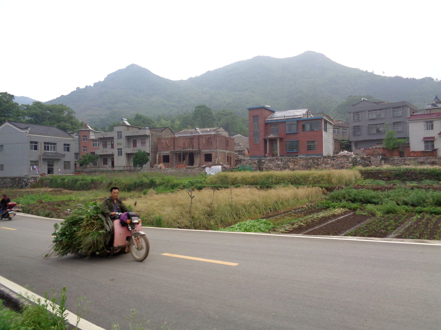 上冯村风景秀丽