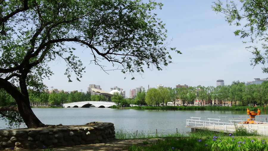 北京朝阳公园2