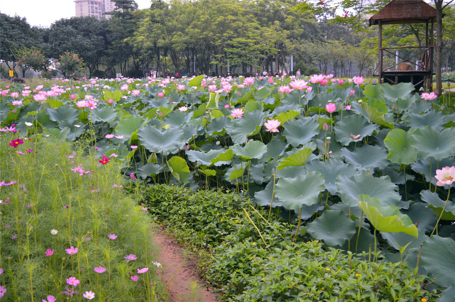 佛山亚艺公园