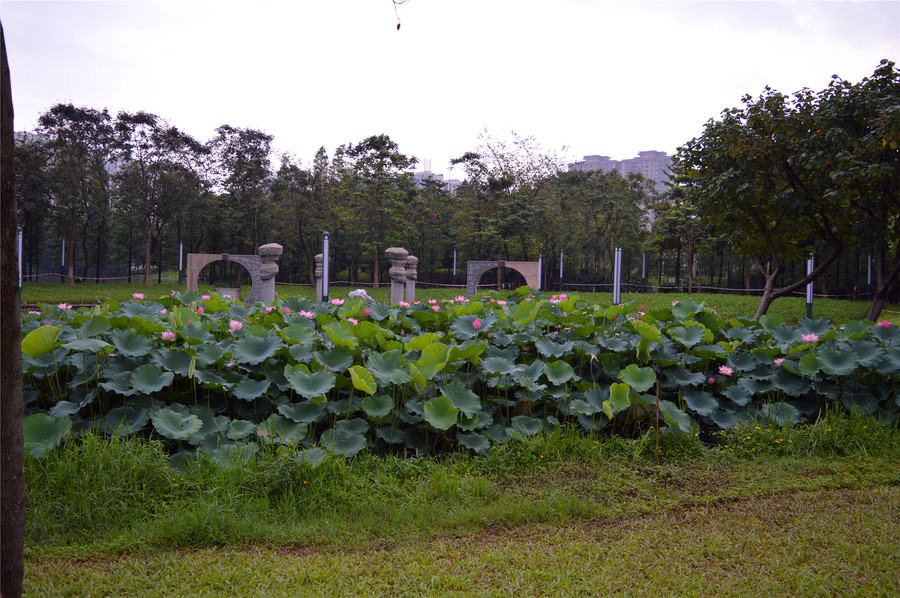 佛山亚艺公园