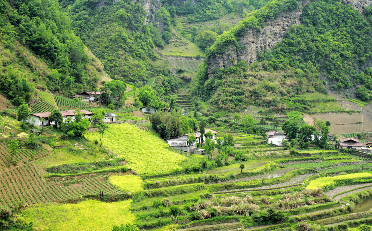 大巴山腹地风光